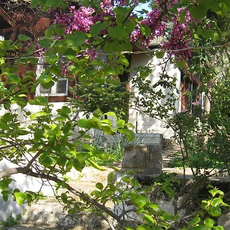 Dostlar Pansiyon Homestay Ayvalik